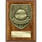 Cobra Plaque Player of Match Award Walnut