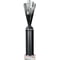 Rodeo Multisport Tube Trophy Silver & Black