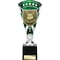 Cobra Star Cup Managers Player Silver & Green