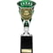 Cobra Star Cup Top Scorer Silver & Green