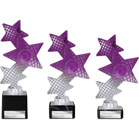 Trinity Star Multisport Plastic Trophy Purple & Silver