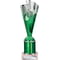 Rodeo Multisport Tube Trophy Silver & Green