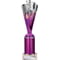 Rodeo Multisport Tube Trophy Silver & Purple