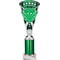 Cobra Star Multisport Tube Trophy Silver & Green