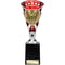 Cobra Star Cup Swimming Silver & Red