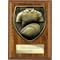 Cobra Plaque Rugby Shirt & Ball Award Walnut