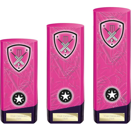 Prime Heavyweight Cricket Pink & Purple