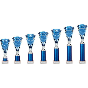 Cobra Star Multisport Tube Trophy Silver & Blue