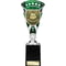 Cobra Star Cup Managers Player Silver & Green