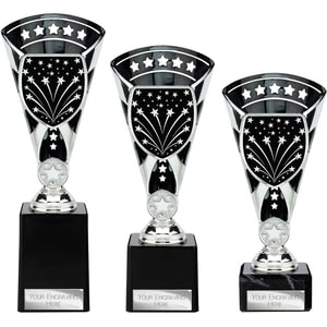 Cobra Star Multisport Cup Silver & Black