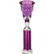 Cobra Star Multisport Tube Trophy Silver & Purple