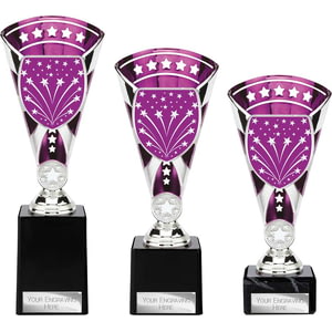 Cobra Star Multisport Cup Silver & Purple