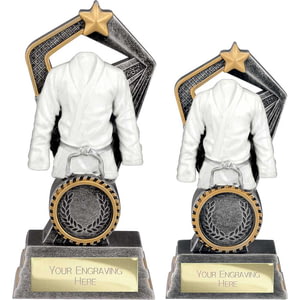 Abyss Martial Arts Resin Award Antique Silver & Gold