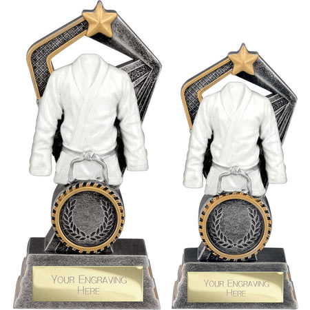 Abyss Martial Arts Resin Award Antique Silver & Gold