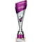 Predator Multisport Tube Trophy Silver & Purple