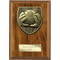 Cobra Plaque Football Goal Keeper Award Walnut