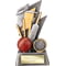 Strike Bolt Cricket Award Antique Silver & Gold