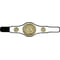 Champion Belt Boxing Award