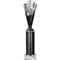 Rodeo Multisport Tube Trophy Silver & Black