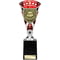 Cobra Star Cup Player of Match Silver & Red