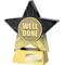 Superstar Well Done Award Black & Gold