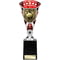 Cobra Star Cup Cricket Silver & Red