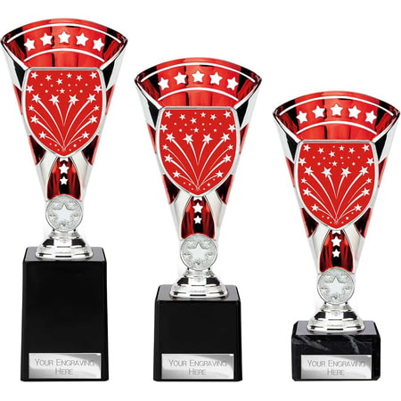 Cobra Star Multisport Cup Silver & Red