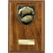 Cobra Plaque Rugby Shirt & Ball Award Walnut