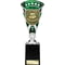 Cobra Star Cup Player of Match Silver & Green