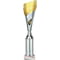 Predator Multisport Tube Trophy Silver & Gold