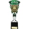 Cobra Star Cup Parents Player Silver & Green