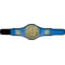 Champion Belt Kickboxing Award