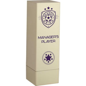 Prodigy Tower Managers Player Award Gold 160mm