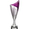 Nebula Trophy Silver & Purple