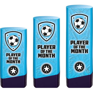 Prime Heavyweight Player of Month Blue & Purple