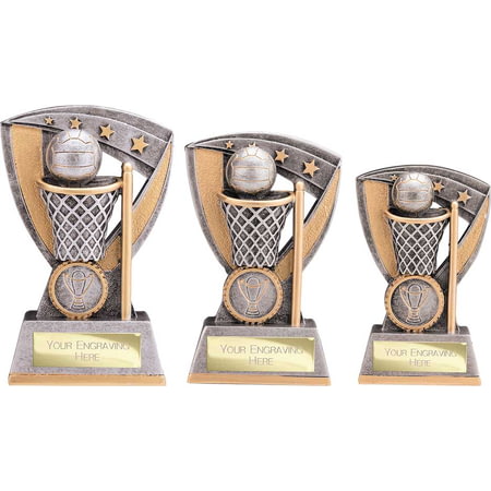 Optimum Netball Resin Award Antique Silver & Gold