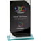 Seismic Multisport Mirror Glass Award Black & Silver