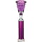 Cobra Star Multisport Tube Trophy Silver & Purple