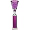 Cobra Star Multisport Tube Trophy Silver & Purple