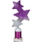 Trinity Star Multisport Tube Trophy Purple & Silver