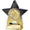 Superstar Darts Award Black & Gold