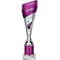 Predator Multisport Tube Trophy Silver & Purple