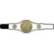 Champion Belt Kickboxing Award