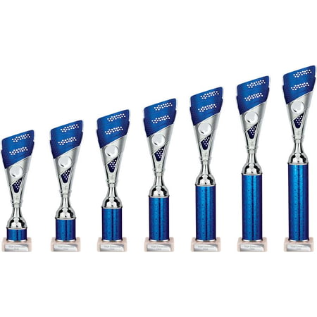 Predator Multisport Tube Trophy Silver & Blue