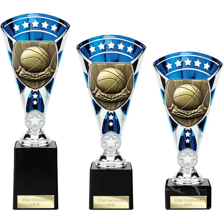 Cobra Star Cup Basketball Silver & Blue