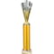 Rodeo Multisport Tube Trophy Silver & Gold