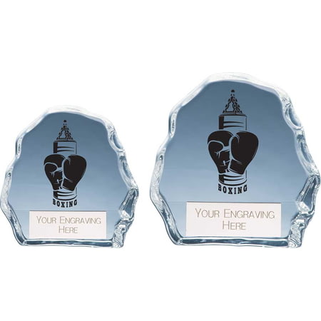 Mystique Boxing Glass Award