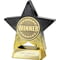 Superstar Winner Award Black & Gold