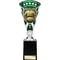 Cobra Star Cup Football Shirt & Ball Silver & Green