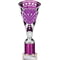 Cobra Star Multisport Tube Trophy Silver & Purple